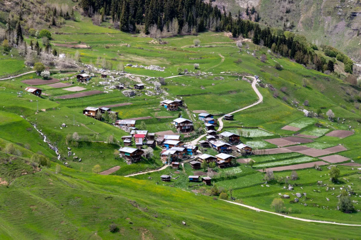 Artvin etkinlik ve organizasyon hizmetleri