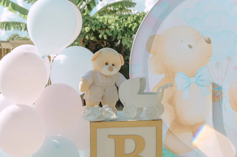 Mekan Partisi · Tema Konsept + Menu + Animasyon: balon süslemesi ve dekorasyon