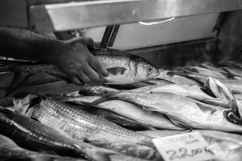 Balık Ekmek Standı · 5 Saat · Kapsamlı: deniz