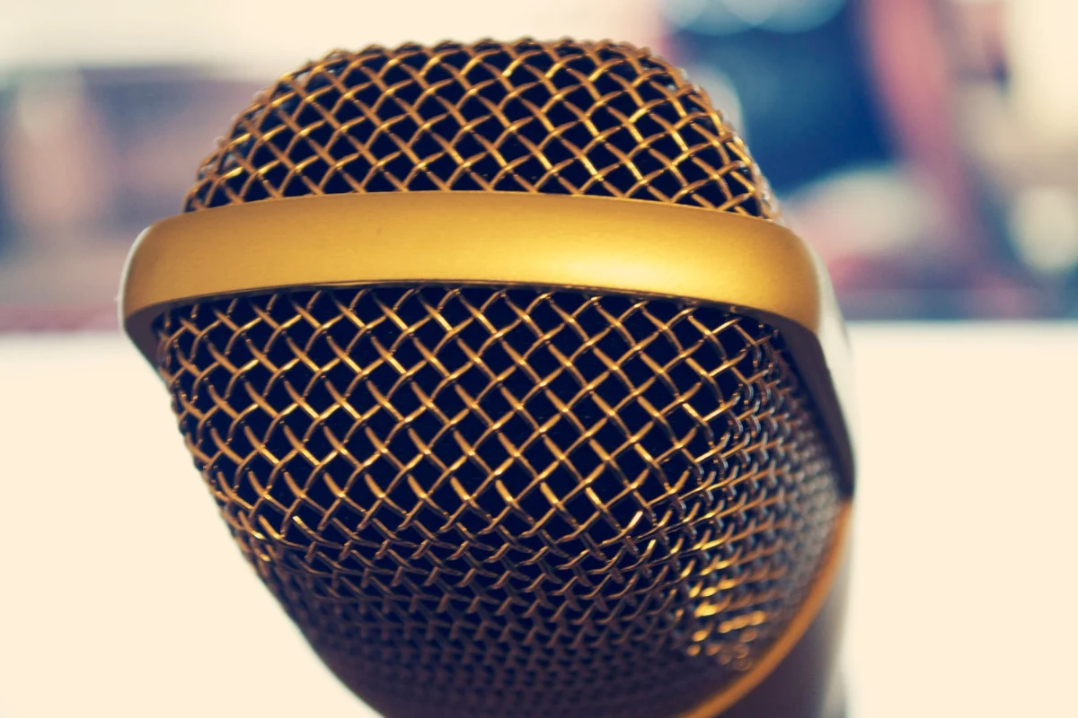 İstanbul Karaoke Sistemi Kiralama ve Fiyatları: mikrofon