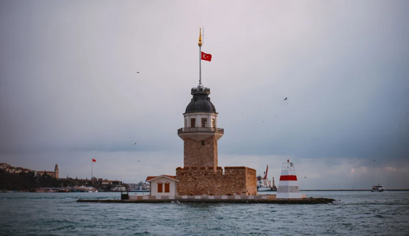 Sade Tepsi + Çiçek için etkinlik görseli