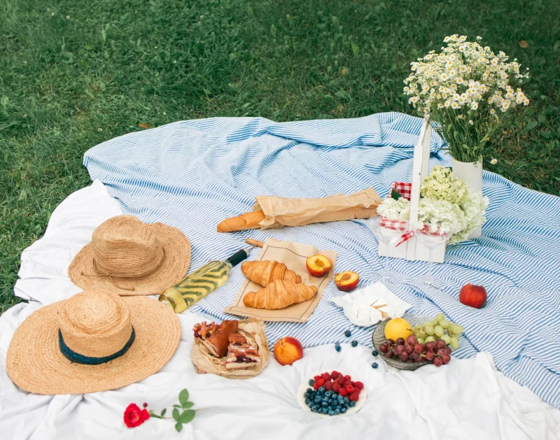 Kapsamlı Piknik · 80+ Kişi: çiçek süslemesi ve açık alan