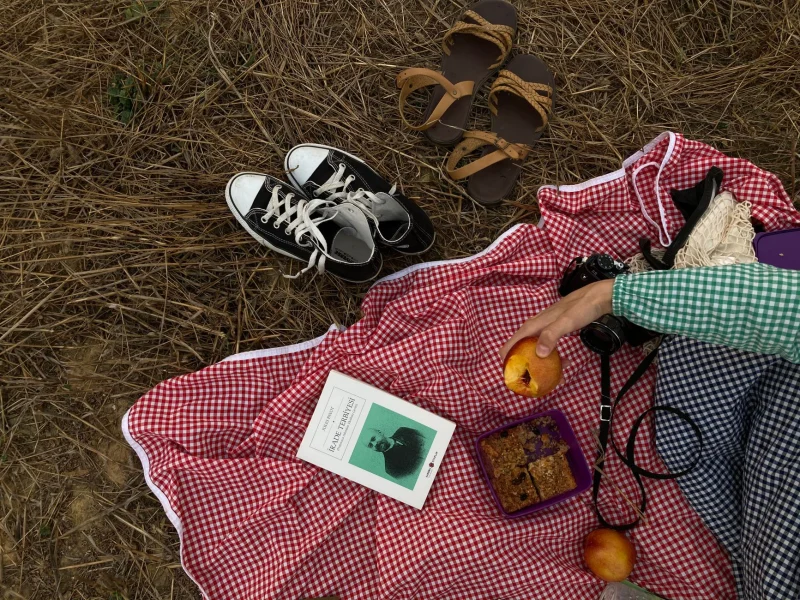Temel Piknik · 40–60 Kişi: açık alan