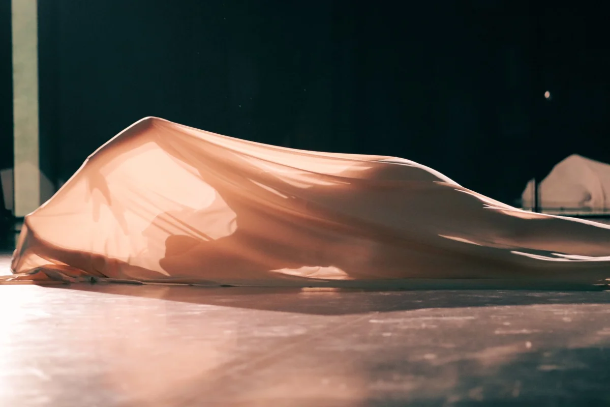 Pole Dance Gösterisi hizmetinin kullanıldığı organizasyon ortamı