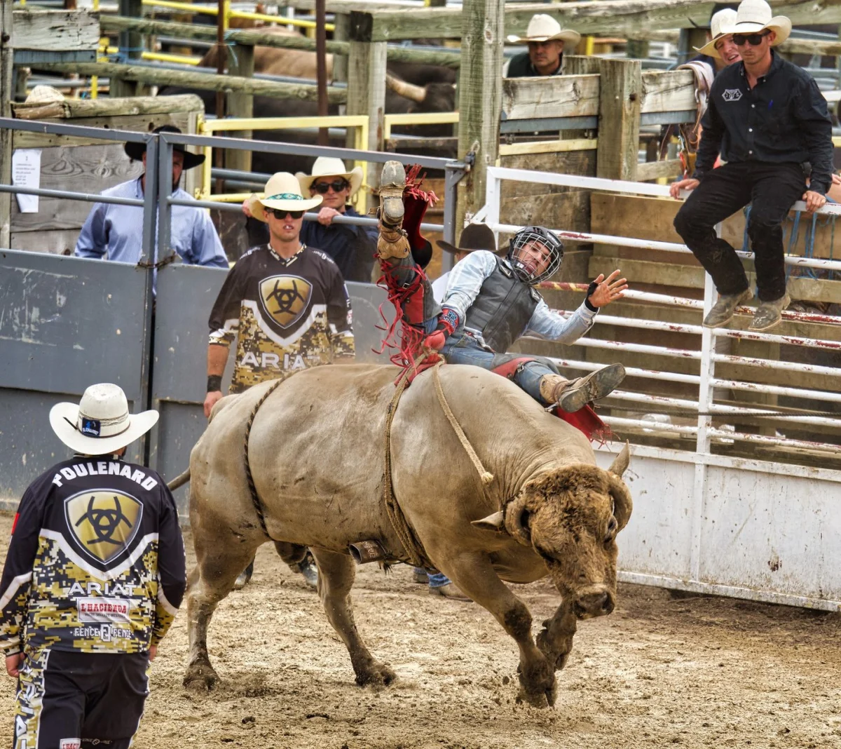 Rodeo Kiralama fiyatları — örnek etkinlik görseli