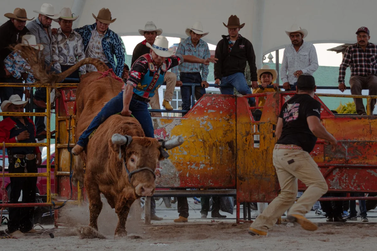 Rodeo Kiralama uygulamasını gösteren etkinlik görseli